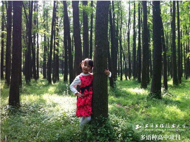校園動(dòng)態(tài)日語國(guó)際高中-來自上海工程大多語種高中項(xiàng)目西班牙語班學(xué)生家長(zhǎng)的分享——我家的花終于要開了